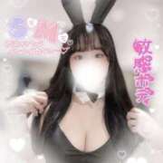 ヒメ日記 2025/04/02 15:40 投稿 リリ 石庭