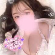 ヒメ日記 2025/04/02 18:20 投稿 リリ 石庭