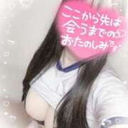 ヒメ日記 2025/04/02 21:50 投稿 リリ 石庭