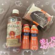 ヒメ日記 2025/04/03 00:21 投稿 リリ 石庭