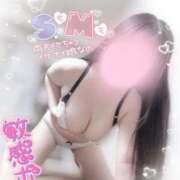 ヒメ日記 2025/04/03 13:20 投稿 リリ 石庭