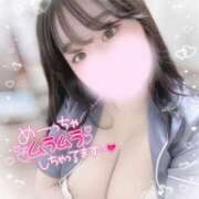 ヒメ日記 2025/04/03 20:20 投稿 リリ 石庭