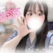 ヒメ日記 2025/04/04 00:20 投稿 リリ 石庭