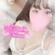 ヒメ日記 2025/04/04 09:01 投稿 リリ 石庭