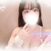 ヒメ日記 2025/04/04 16:18 投稿 リリ 石庭