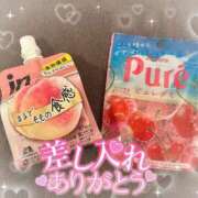 ヒメ日記 2025/04/05 02:20 投稿 リリ 石庭