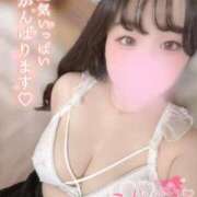 ヒメ日記 2025/04/05 11:30 投稿 リリ 石庭