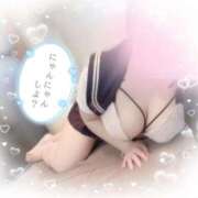 ヒメ日記 2025/04/05 15:30 投稿 リリ 石庭