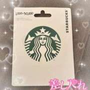 ヒメ日記 2025/04/06 00:20 投稿 リリ 石庭