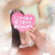 ヒメ日記 2025/04/06 10:20 投稿 リリ 石庭