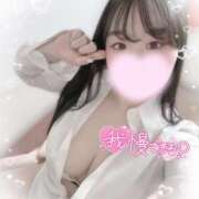 ヒメ日記 2025/04/06 14:20 投稿 リリ 石庭