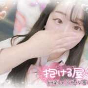 ヒメ日記 2025/04/07 09:42 投稿 リリ 石庭