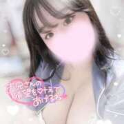 ヒメ日記 2025/04/07 15:02 投稿 リリ 石庭