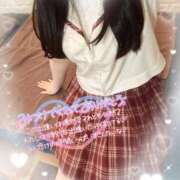 ヒメ日記 2025/04/07 18:20 投稿 リリ 石庭