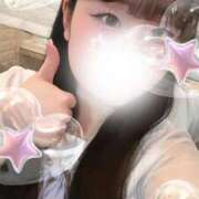 ヒメ日記 2025/06/08 13:20 投稿 リリ 石庭