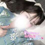 ヒメ日記 2025/06/12 19:20 投稿 リリ 石庭