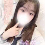 ヒメ日記 2025/06/13 13:20 投稿 リリ 石庭