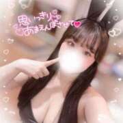 ヒメ日記 2025/06/14 08:20 投稿 リリ 石庭