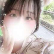 ヒメ日記 2025/06/15 08:50 投稿 リリ 石庭