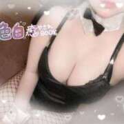 ヒメ日記 2025/06/15 14:50 投稿 リリ 石庭