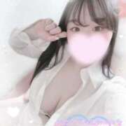 ヒメ日記 2025/06/15 17:21 投稿 リリ 石庭