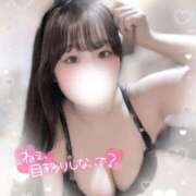 ヒメ日記 2025/06/15 21:20 投稿 リリ 石庭