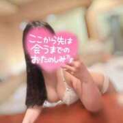 ヒメ日記 2025/06/16 08:20 投稿 リリ 石庭