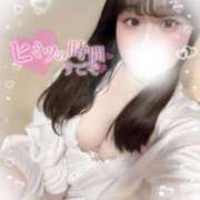 ヒメ日記 2025/06/16 11:11 投稿 リリ 石庭