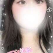 ヒメ日記 2025/06/17 08:20 投稿 リリ 石庭