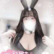 ヒメ日記 2025/06/17 08:50 投稿 リリ 石庭