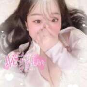 ヒメ日記 2025/06/17 19:23 投稿 リリ 石庭