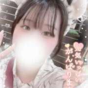 ヒメ日記 2025/06/18 13:20 投稿 リリ 石庭