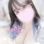 ヒメ日記 2025/06/18 19:26 投稿 リリ 石庭