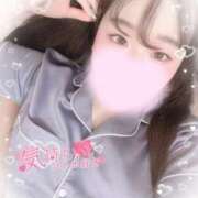 ヒメ日記 2025/06/19 11:20 投稿 リリ 石庭