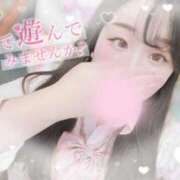 ヒメ日記 2025/06/19 21:20 投稿 リリ 石庭