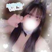 ヒメ日記 2025/06/20 08:20 投稿 リリ 石庭