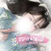 ヒメ日記 2025/06/20 15:30 投稿 リリ 石庭