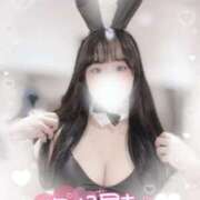 ヒメ日記 2025/06/21 11:21 投稿 リリ 石庭