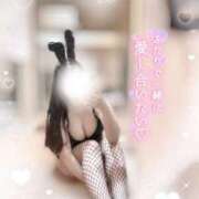 ヒメ日記 2025/06/21 13:38 投稿 リリ 石庭