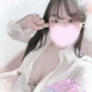 ヒメ日記 2025/06/21 17:50 投稿 リリ 石庭