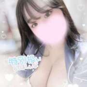 ヒメ日記 2025/06/21 21:21 投稿 リリ 石庭