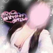 ヒメ日記 2025/06/22 14:37 投稿 リリ 石庭