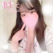 ヒメ日記 2025/06/23 11:20 投稿 リリ 石庭