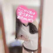 ヒメ日記 2025/06/23 12:20 投稿 リリ 石庭