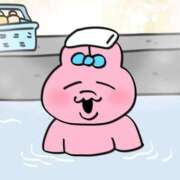 ヒメ日記 2025/06/26 23:50 投稿 リリ 石庭