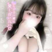 ヒメ日記 2025/06/28 09:01 投稿 リリ 石庭