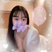 ヒメ日記 2025/06/28 09:50 投稿 リリ 石庭