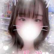 ヒメ日記 2025/07/21 13:10 投稿 リリ 石庭