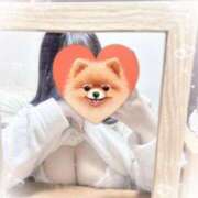 ヒメ日記 2025/07/24 12:20 投稿 リリ 石庭