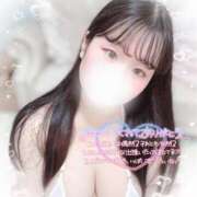 ヒメ日記 2025/07/25 14:00 投稿 リリ 石庭